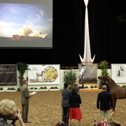 6th Annual Arabian Breeders' World Cup - Day 2
