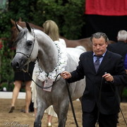 6th Annual Arabian Breeders' World Cup - Day 2