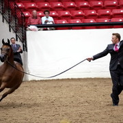 6th Annual Arabian Breeders' World Cup - Day 2
