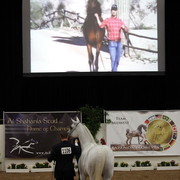 6th Annual Arabian Breeders' World Cup - Day 2