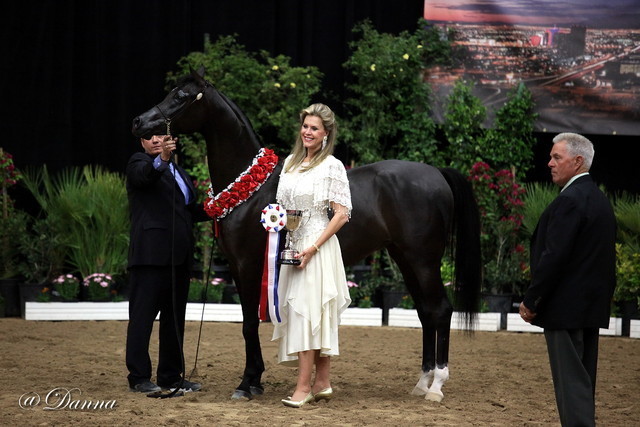 6th Annual Arabian Breeders' World Cup - Day 2