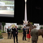 6th Annual Arabian Breeders' World Cup - Day 2