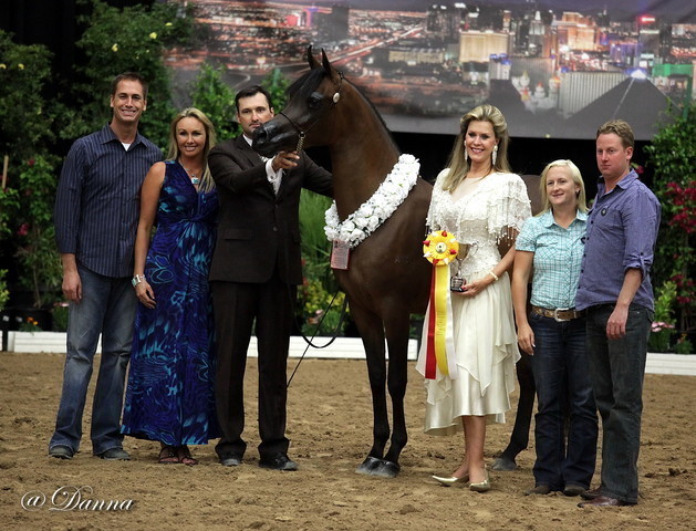 6th Annual Arabian Breeders' World Cup - Day 2