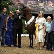 6th Annual Arabian Breeders' World Cup - Day 2