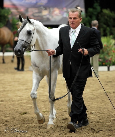6th Annual Arabian Breeders' World Cup - Day 2