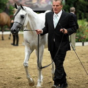 6th Annual Arabian Breeders' World Cup - Day 2