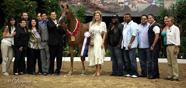 6th Annual Arabian Breeders' World Cup - Day 2