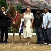 6th Annual Arabian Breeders' World Cup - Day 2