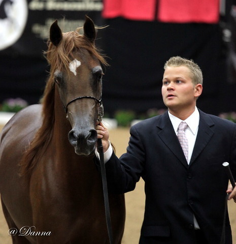 6th Annual Arabian Breeders' World Cup - Day 2