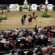 6th Annual Arabian Breeders' World Cup - Day 2