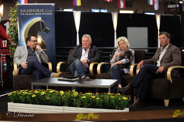 6th Annual Arabian Breeders' World Cup - Day 2