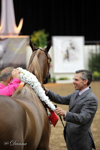 6th Annual Arabian Breeders' World Cup - Day 2
