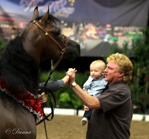 6th Annual Arabian Breeders World Cup - Day 3