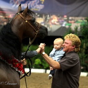 6th Annual Arabian Breeders World Cup - Day 3