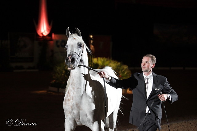 6th Annual Arabian Breeders World Cup - Day 3