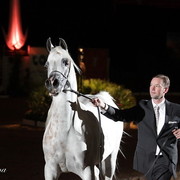 6th Annual Arabian Breeders World Cup - Day 3