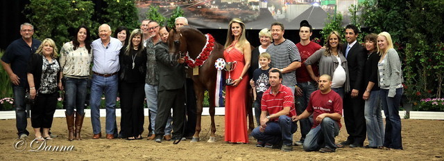6th Annual Arabian Breeders World Cup - Day 3