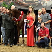 6th Annual Arabian Breeders World Cup - Day 3