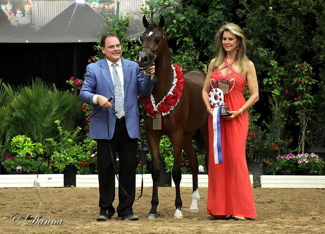 6th Annual Arabian Breeders World Cup - Day 3
