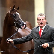 6th Annual Arabian Breeders World Cup - Day 3