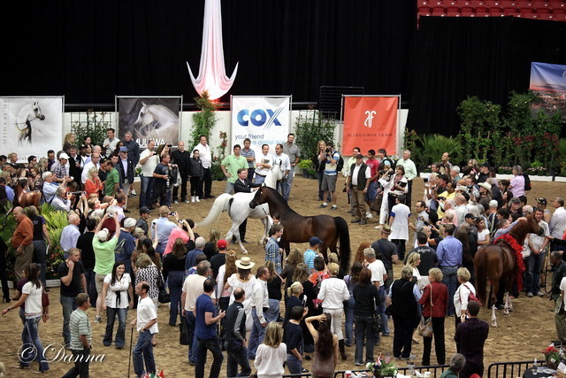6th Annual Arabian Breeders World Cup - Day 3