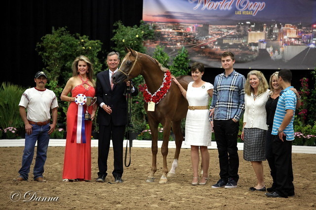 6th Annual Arabian Breeders World Cup - Day 3