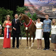 6th Annual Arabian Breeders World Cup - Day 3
