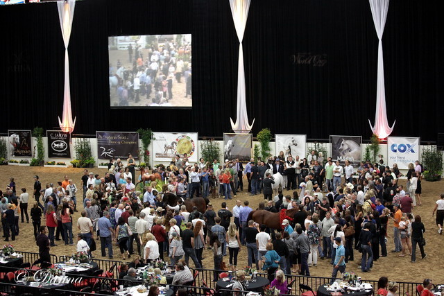 6th Annual Arabian Breeders World Cup - Day 3