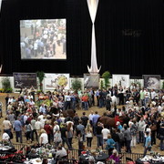 6th Annual Arabian Breeders World Cup - Day 3