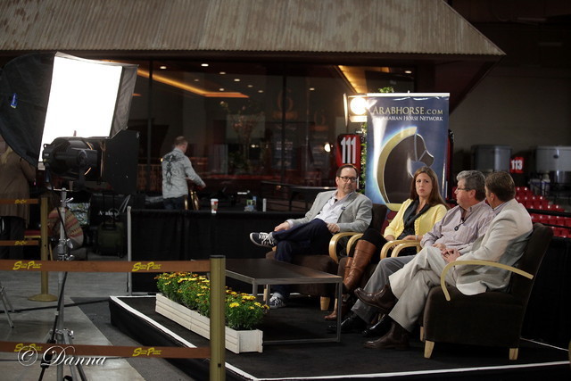 6th Annual Arabian Breeders World Cup - Day 3