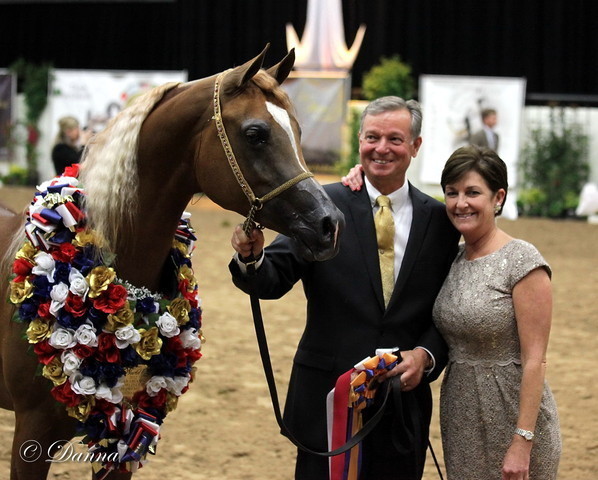 6th Annual Arabian Breeders World Cup - Finals Day