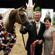 6th Annual Arabian Breeders World Cup - Finals Day
