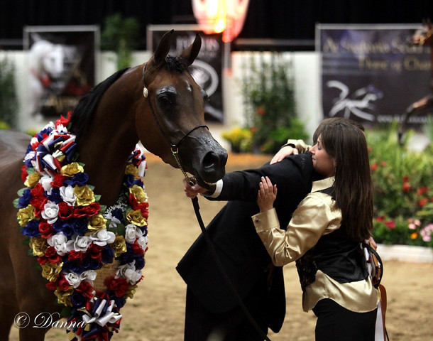 6th Annual Arabian Breeders World Cup - Finals Day