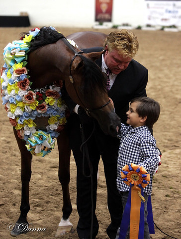 6th Annual Arabian Breeders World Cup - Finals Day