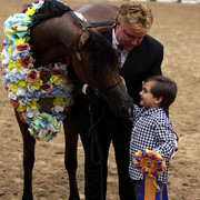 6th Annual Arabian Breeders World Cup - Finals Day