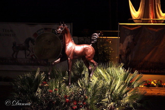 6th Annual Arabian Breeders World Cup - Finals Day