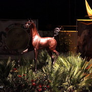 6th Annual Arabian Breeders World Cup - Finals Day
