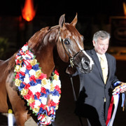 6th Annual Arabian Breeders World Cup - Finals Day