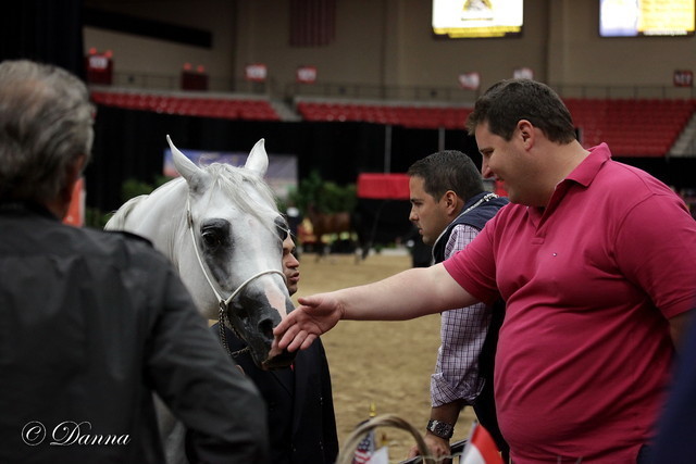 6th Annual Arabian Breeders World Cup - Finals Day