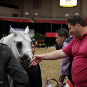 6th Annual Arabian Breeders World Cup - Finals Day