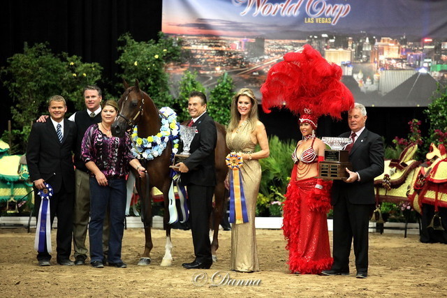 6th Annual Arabian Breeders World Cup - Finals Day