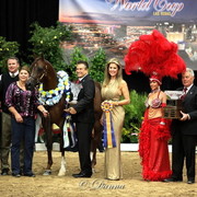 6th Annual Arabian Breeders World Cup - Finals Day