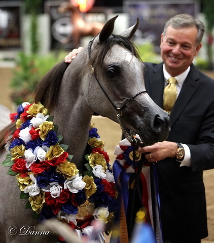 6th Annual Arabian Breeders World Cup - Finals Day