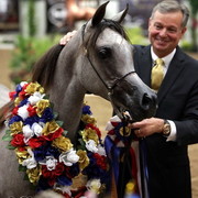 6th Annual Arabian Breeders World Cup - Finals Day