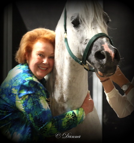 6th Annual Arabian Breeders World Cup - Finals Day