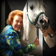 6th Annual Arabian Breeders World Cup - Finals Day