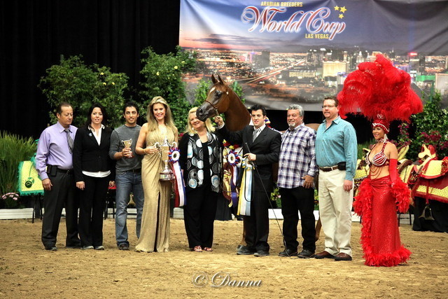 6th Annual Arabian Breeders World Cup - Finals Day
