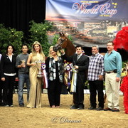 6th Annual Arabian Breeders World Cup - Finals Day
