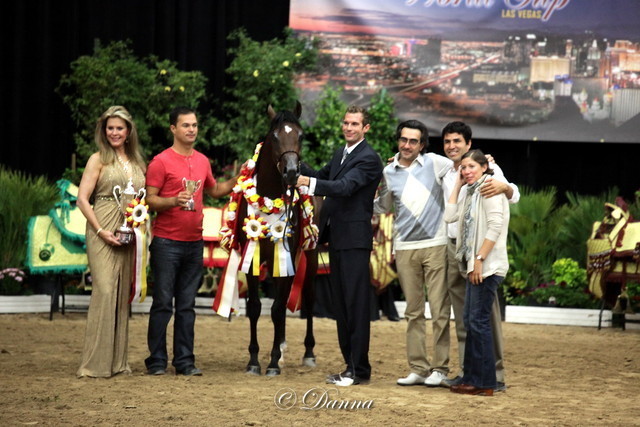 6th Annual Arabian Breeders World Cup - Finals Day