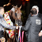 6th Annual Arabian Breeders World Cup - Finals Day